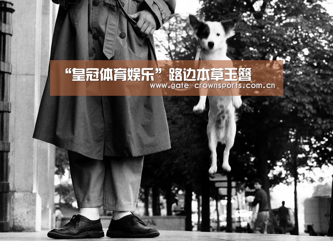 “皇冠体育娱乐”路边本草玉簪(图1) 皇冠体育下载